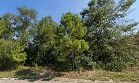 Gulfport Homesite in Swan Lake