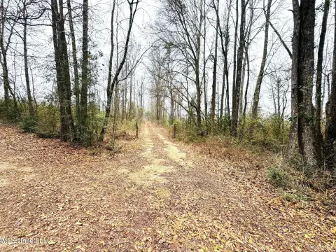 Tylertown, MS Hunting/Homesite Land