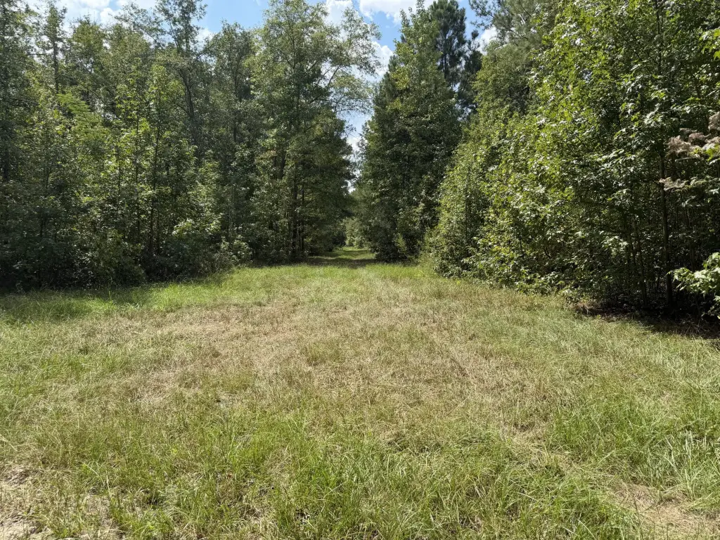 Picture 11