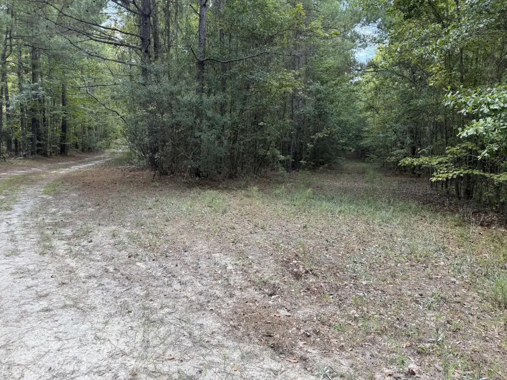 Picture 12