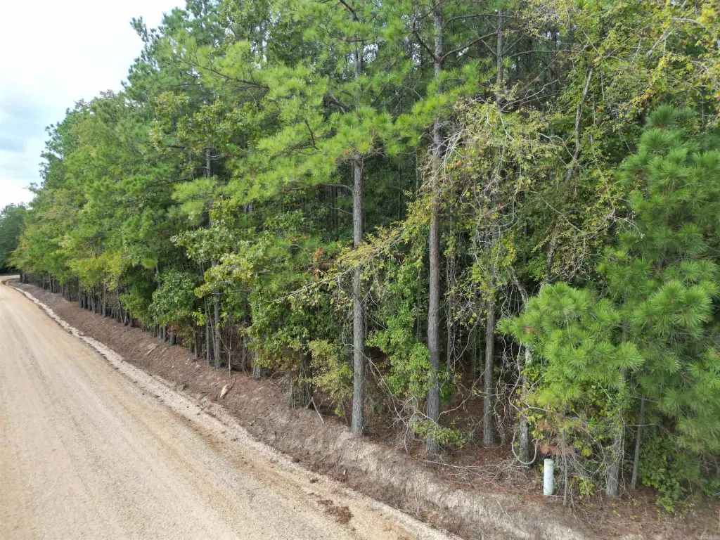 Picture 15