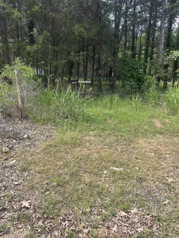 Picture 2