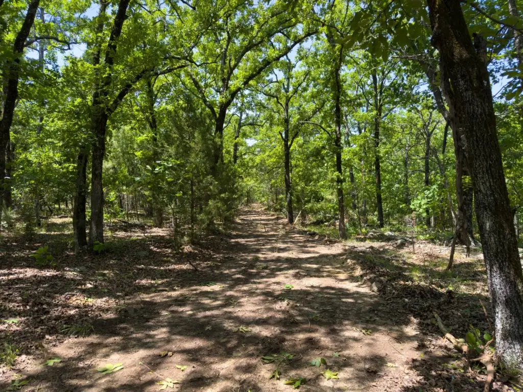 Picture 11