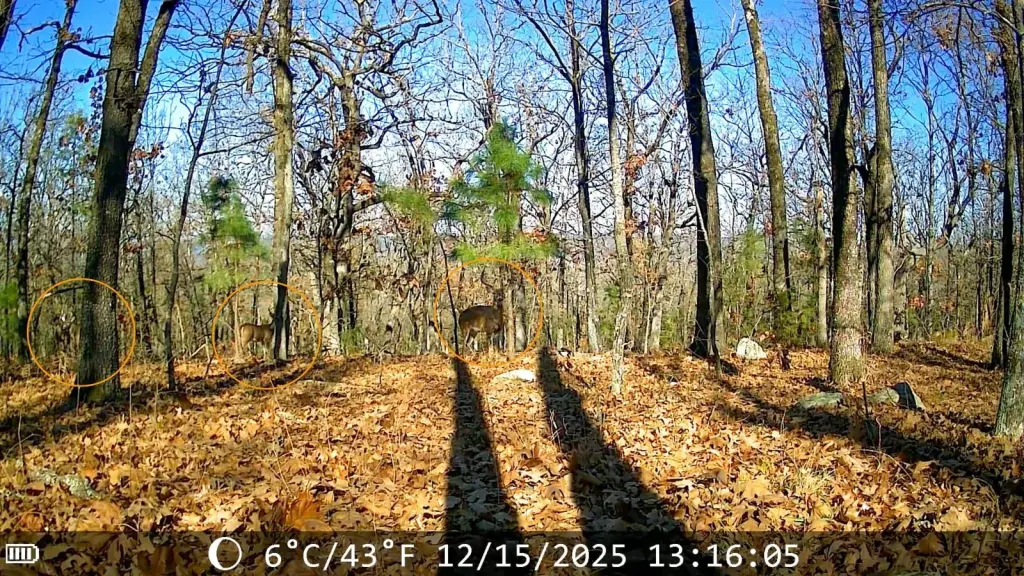 Picture 16