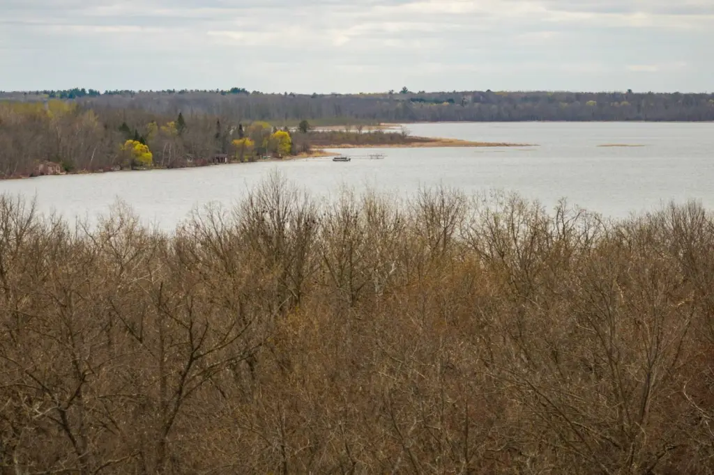 Picture 8