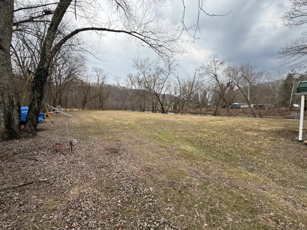 Picture 24