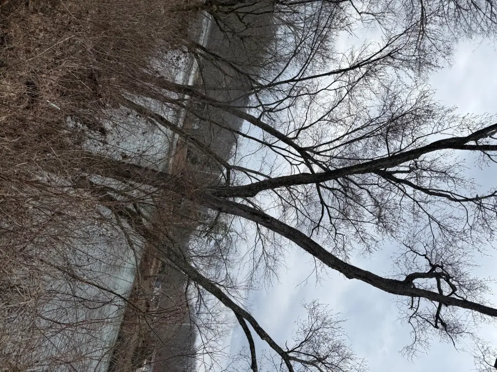 Picture 4