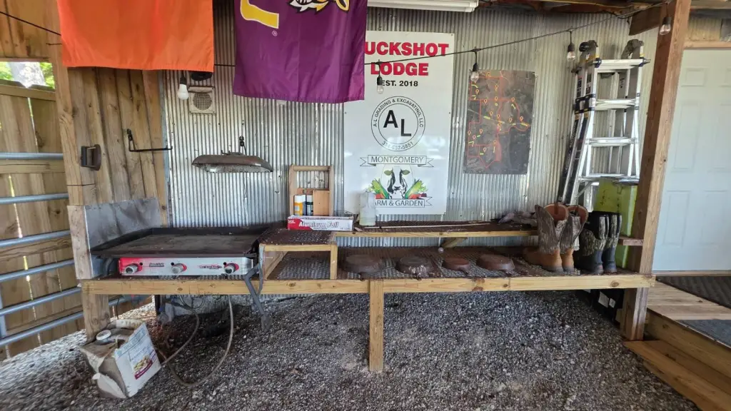 Picture 17