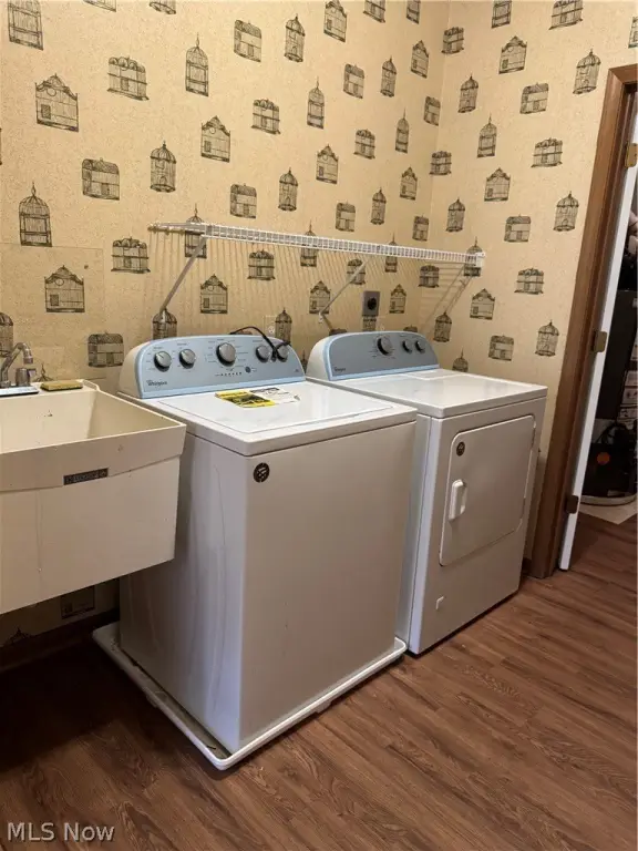 Picture 23