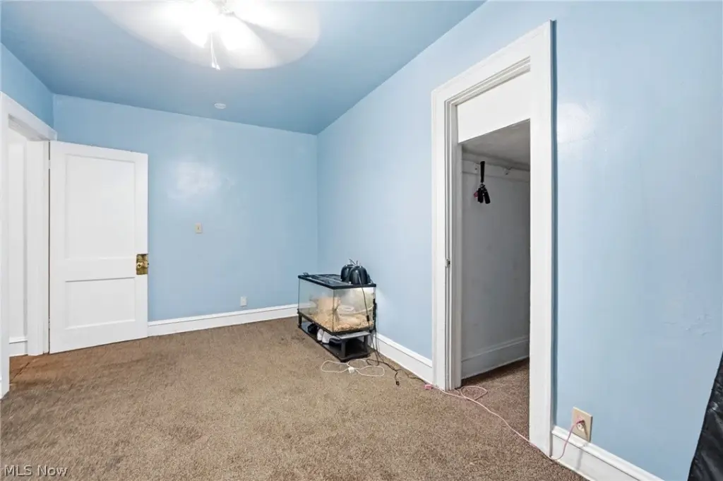 Picture 16