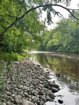 Boyd, WI Wooded Land Parcel