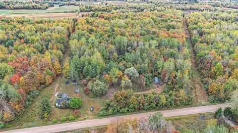 South Haven Wooded Hunting Land