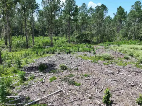 Murfreesboro Acreage on Kadoha Road