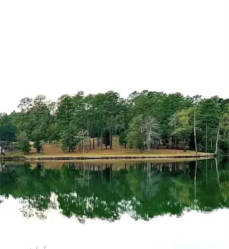 Lakefront Lot in Mobile, AL