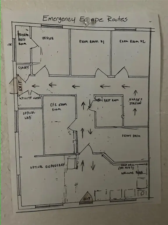 Picture 7