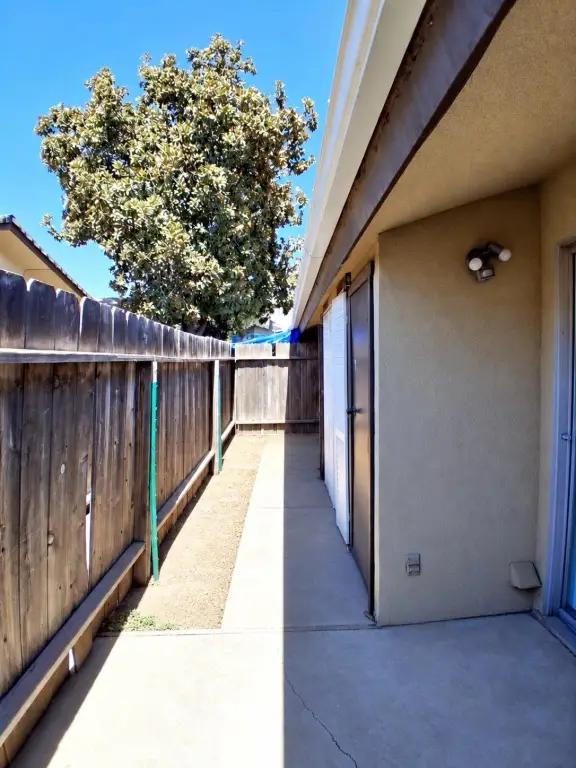 Picture 24