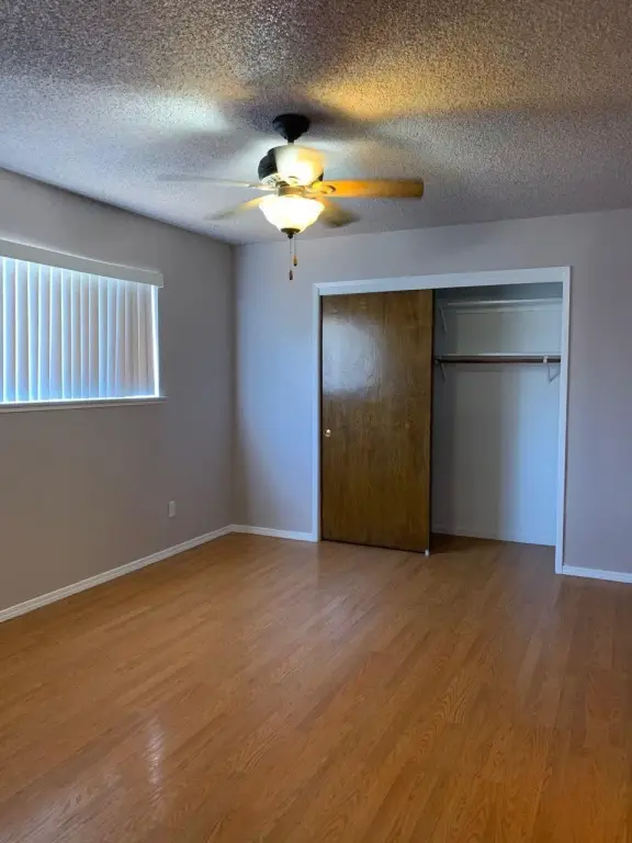 Picture 33