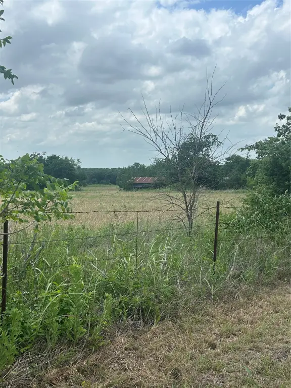 Picture 17