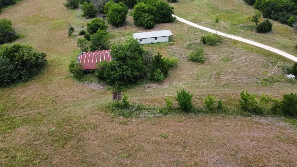 Picture 5