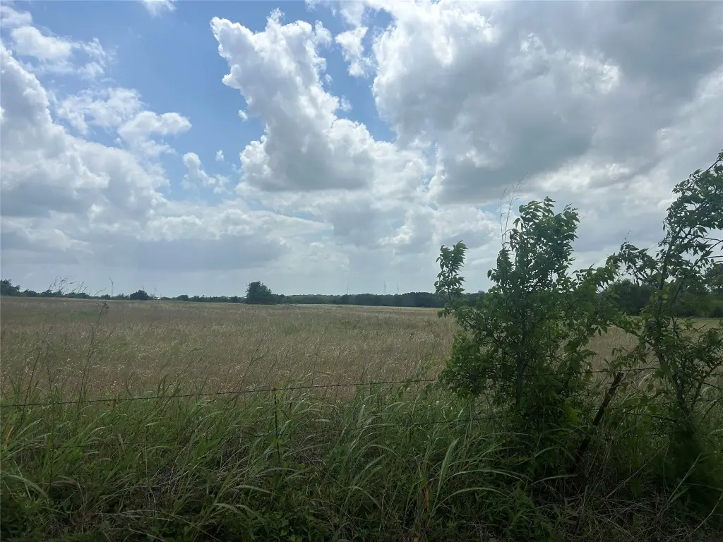 Picture 16