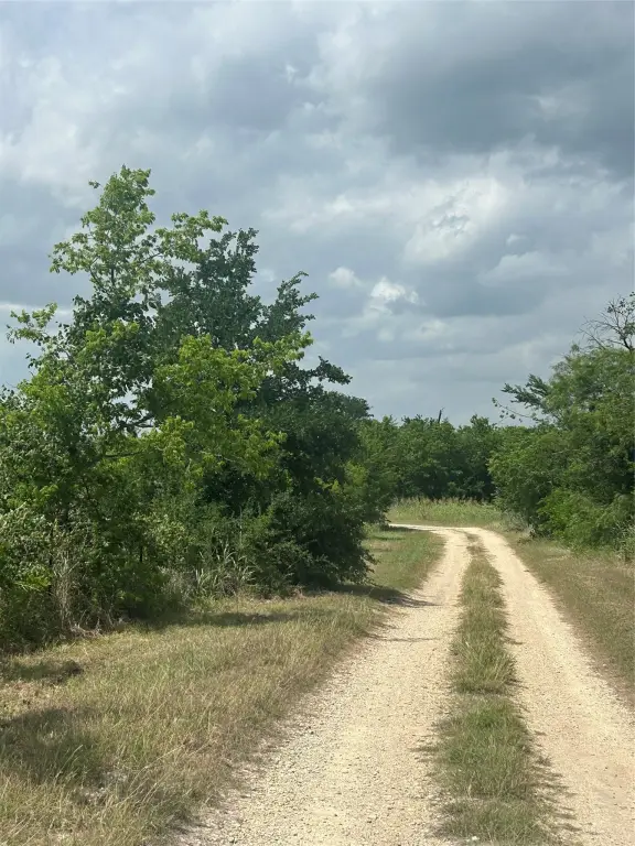 Picture 18