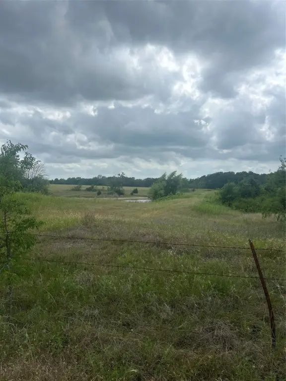 Picture 27