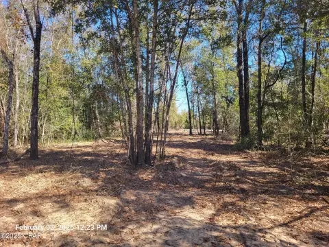 Altha, FL Land for Sale