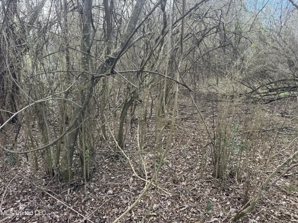 Picture 13
