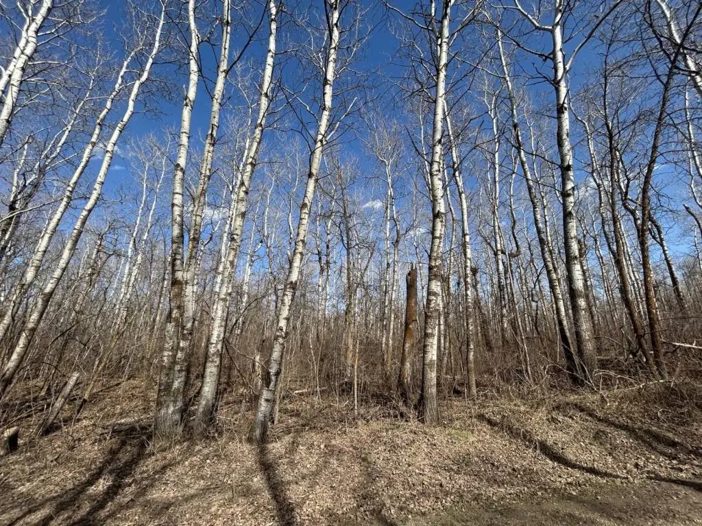 Picture 10