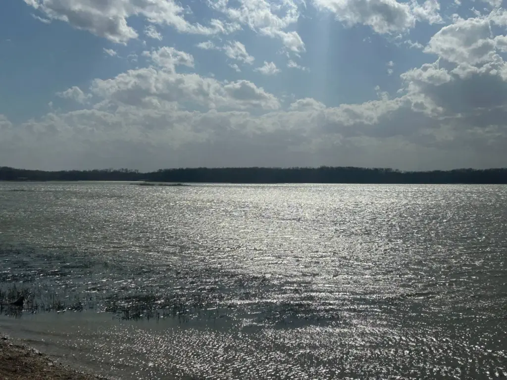 Picture 4