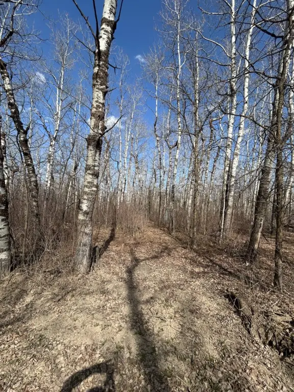 Picture 9