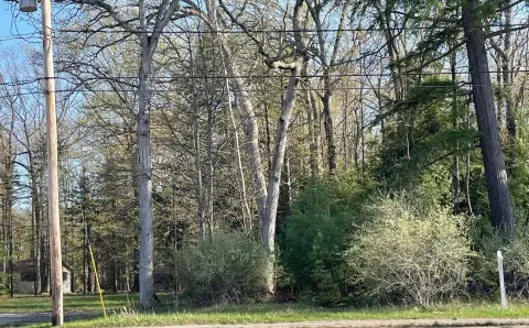 Commercial Lot on Highway M-55