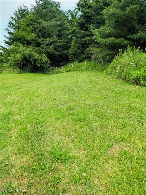 Picture 38