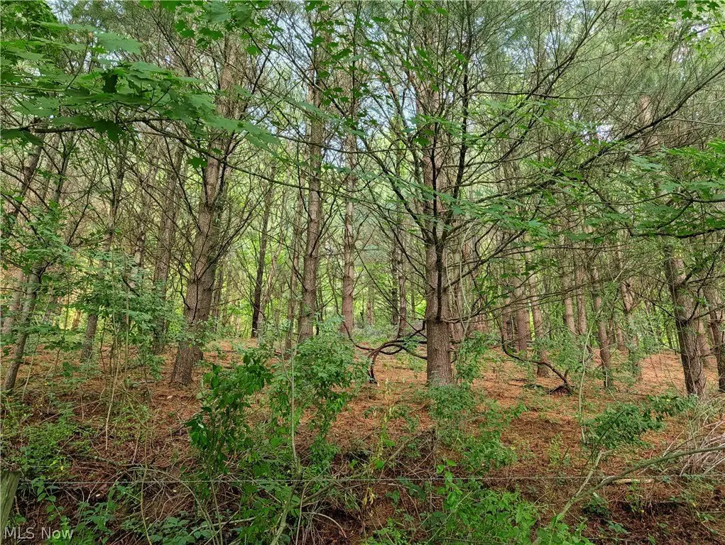 Picture 31
