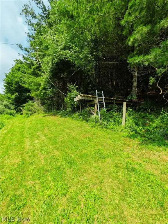 Picture 24