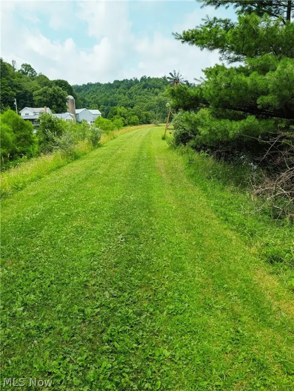 Picture 11