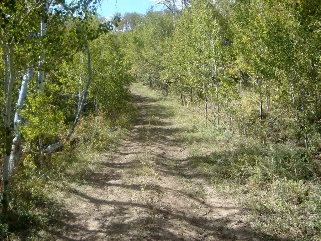 Picture 4