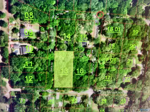 Wooded Lot in Hartselle, AL