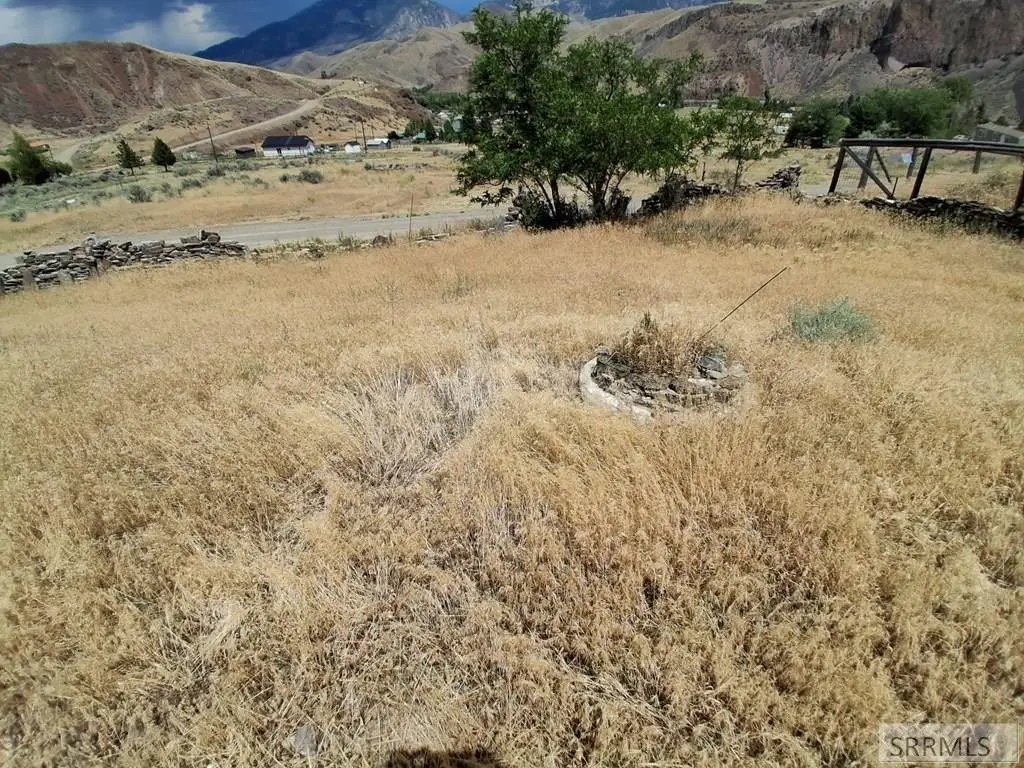 Picture 8