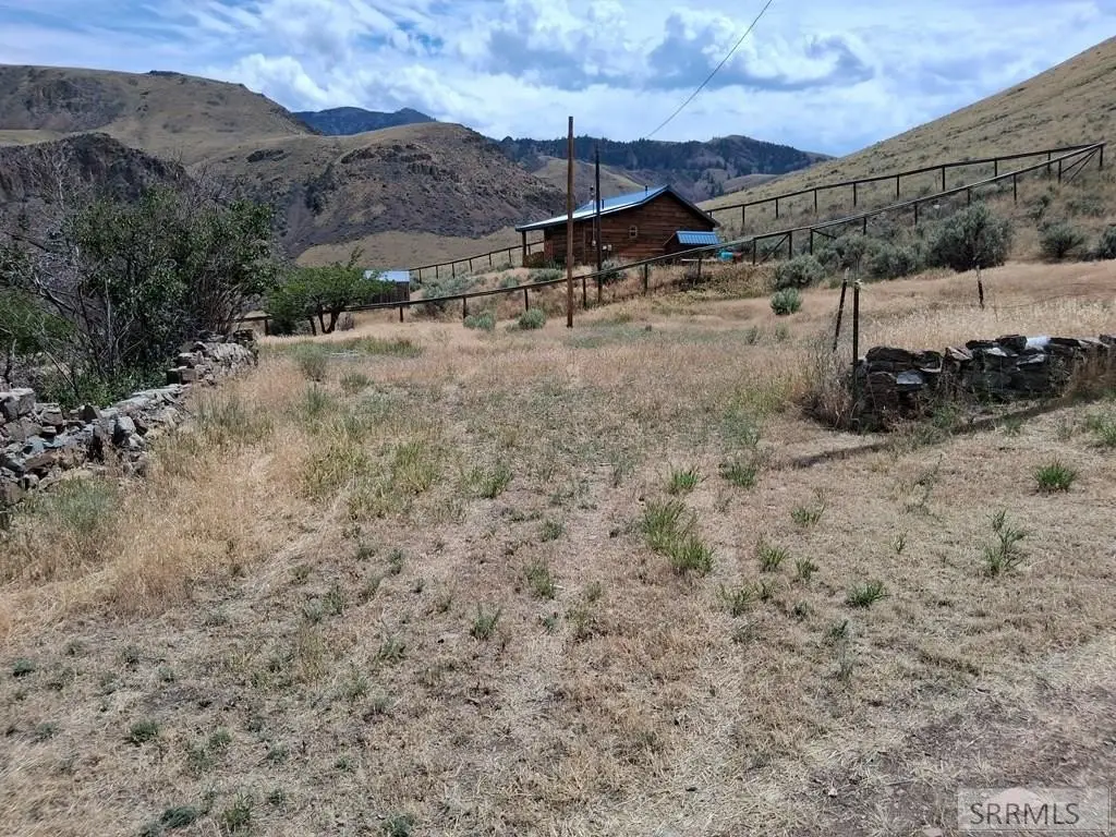 Picture 3