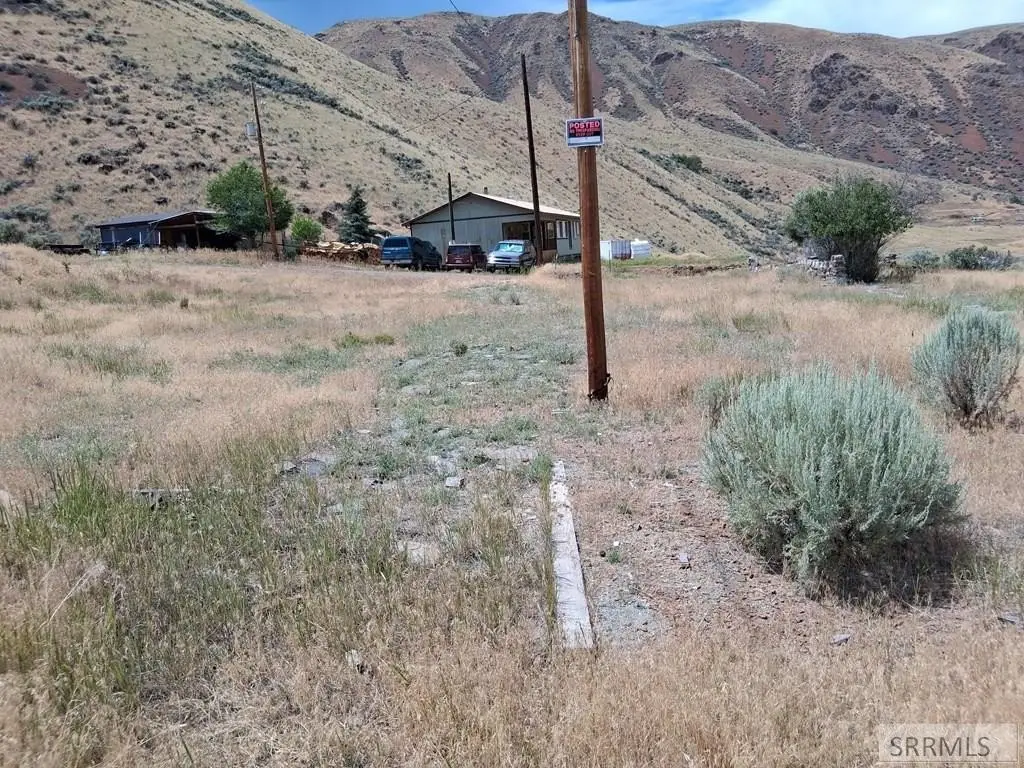 Picture 6