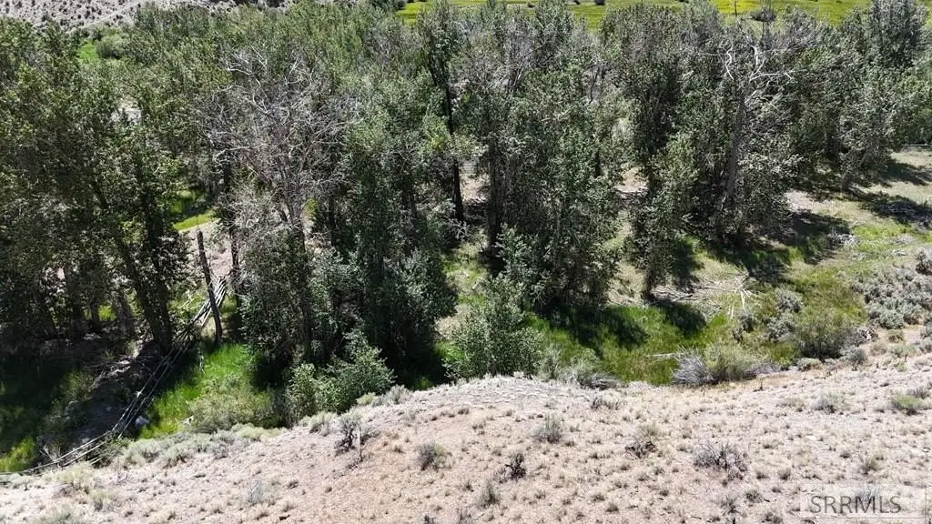 Picture 19