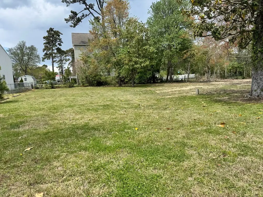 Picture 13