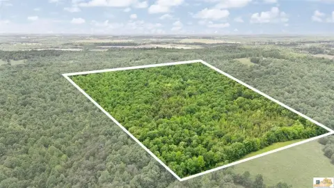 29 Acres of Hunting Land