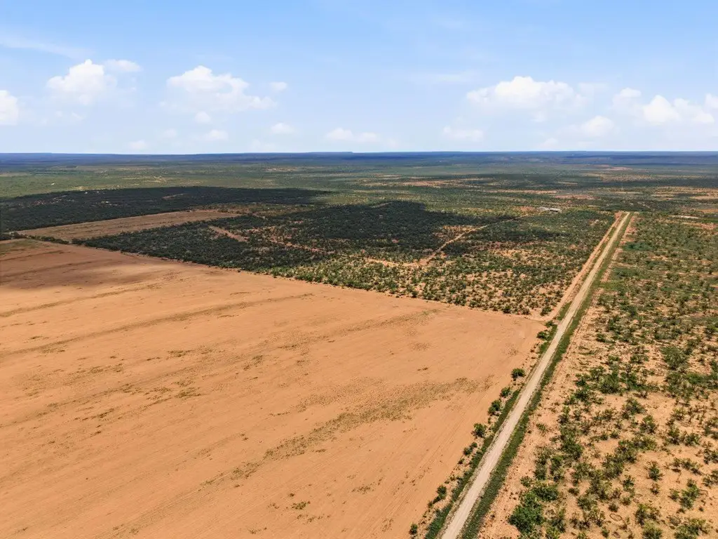 Picture 78
