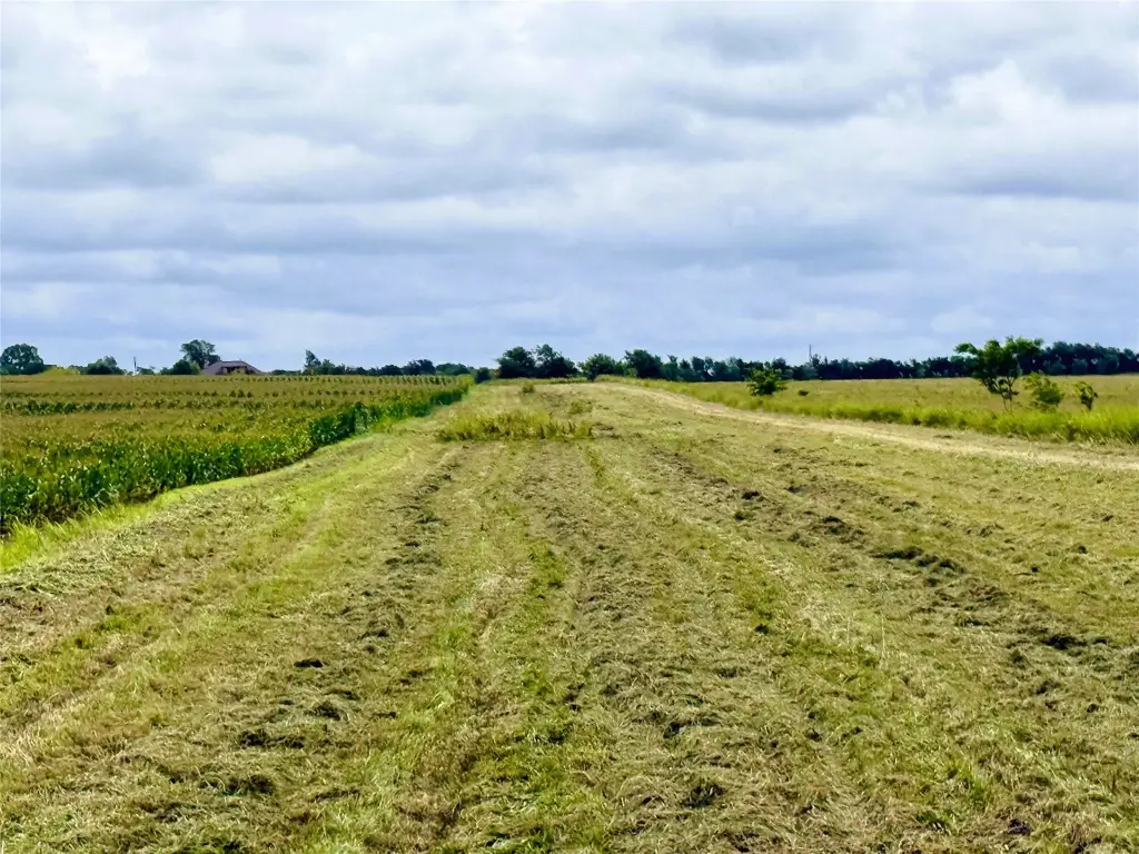 Picture 18