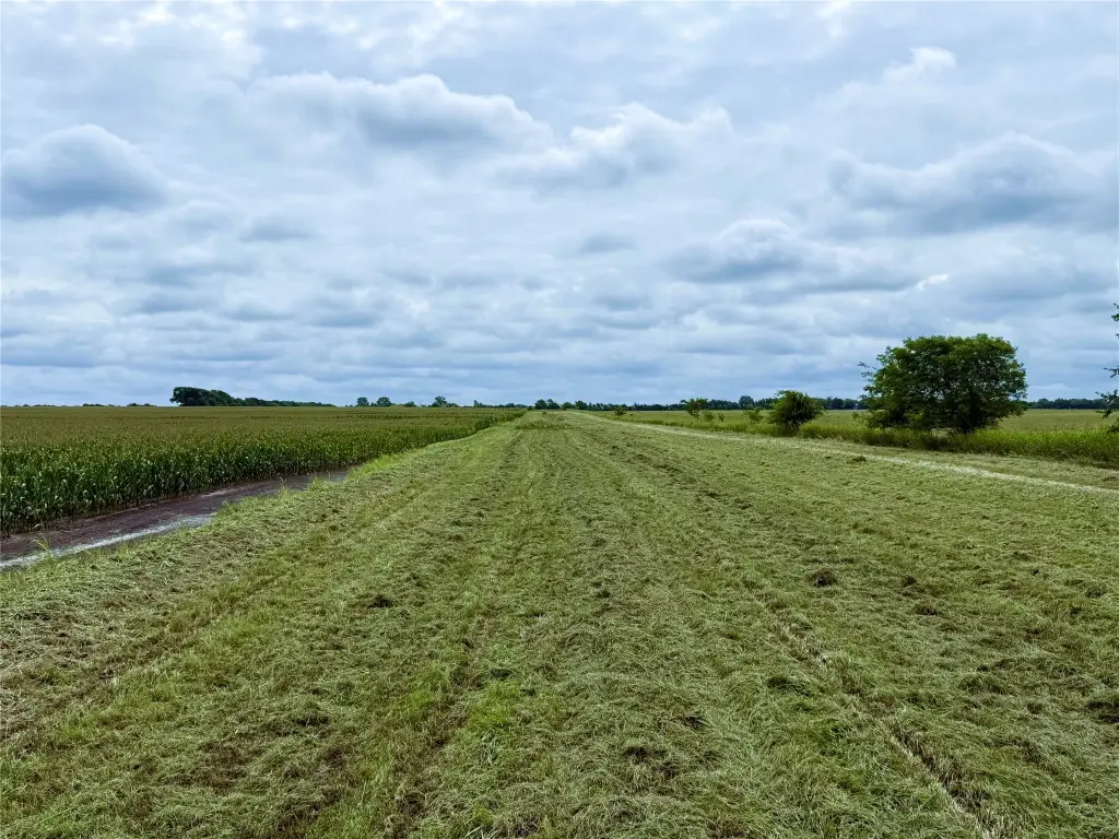 Picture 17