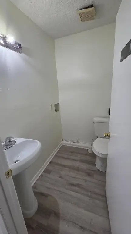 Picture 19