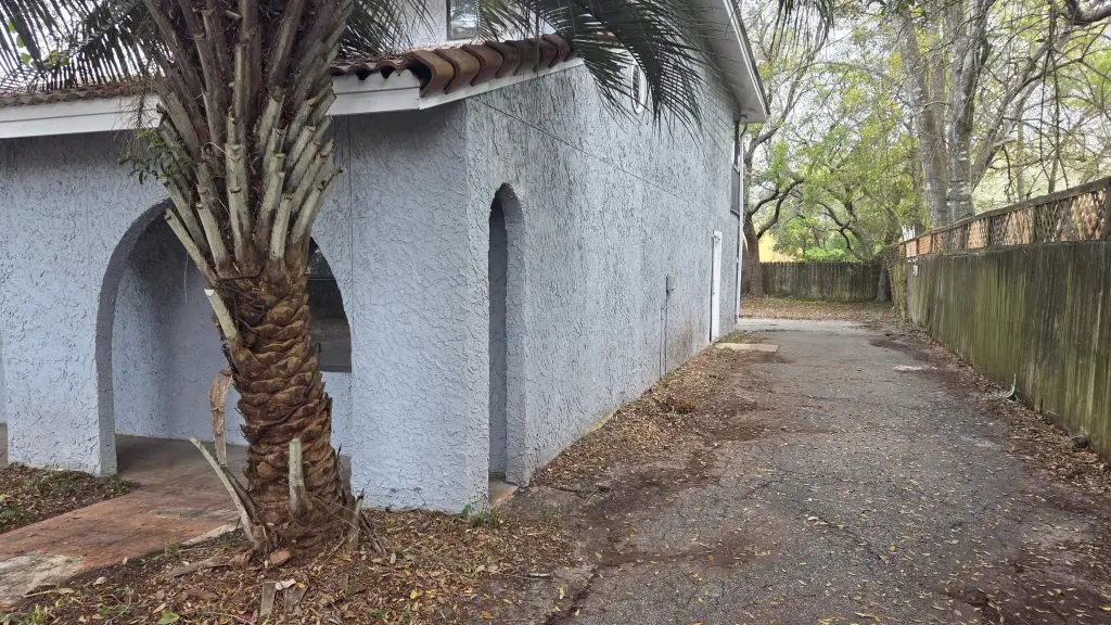 Picture 5