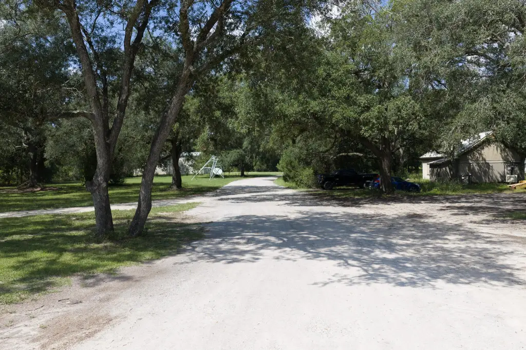 Picture 25